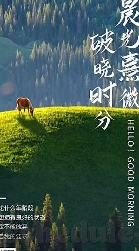世界杯 裁判定位球-世界杯裁判定位球，公正与策略的交汇点